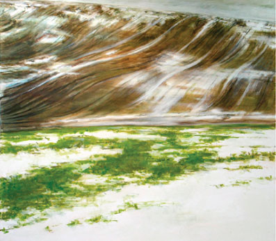 Ohne Titel, Öl auf Leinwand, 110 x 125 cm, 2005