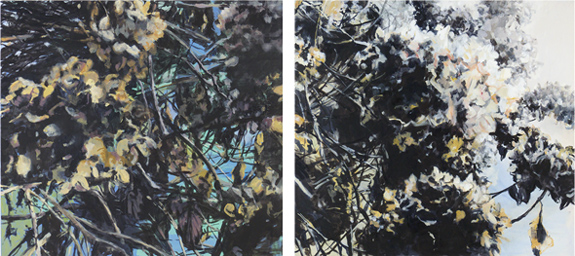 Ohne Titel,  Öl auf Leinwand, je 100 x 110 cm, 2017