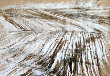 Ohne Titel, Mischtechnik auf Packpapier, 75.5 x 104, 2006