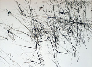 Ohne Titel, Tusche auf Papier, 24 x 32 cm, 2007